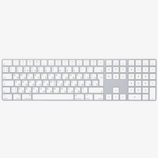 Magic Keyboard with Numeric Keypad - Model A1843 MQ052RS/A